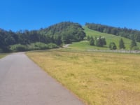 Super Planche des Belles Filles