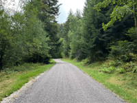 Planche des Belles Filles von Plancher-les-Mines