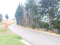 Planche des Belles Filles da Plancher-les-Mines