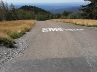 Super Planche des Belles Filles