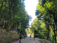 Super Planche des Belles Filles