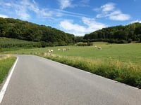De Plank von Sint-Pieters-Voeren