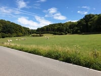 De Plank von Sint-Pieters-Voeren