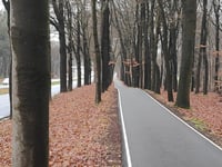 Planken Wambuis depuis Arnhem
