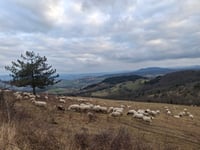 Plateau de Gergovie da Opme