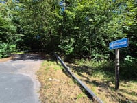 Platte da Wiesbaden