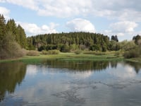 Muhrenberg von Wirtzfeld