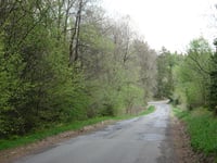 Muhrenberg von Wirtzfeld