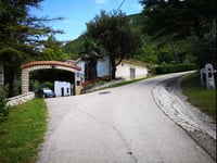 Plomin