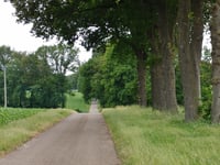 Lönsberg über Liststrasse