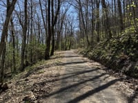 Poggio di Montieri da Montieri