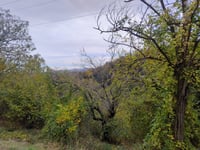 Poggio Maggiore / Monte Arnigo da Pianoro Vecchio