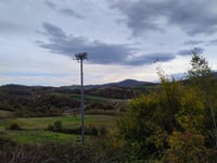 Poggio Maggiore / Monte Arnigo da Poggio di Sotto