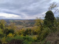 Poggio Maggiore / Monte Arnigo da Poggio di Sotto