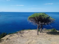 Poggio von Marciana Marina