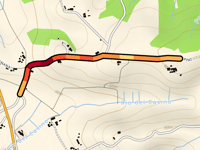 Poggio Pini da Brusciana