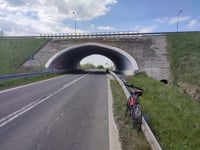 Pogorzała
