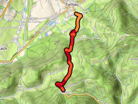Poguschstrasse von Turnau