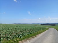 Point d'Arrêt von Hargimont