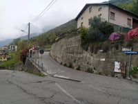 Poira di Fuori Pecoia von Traona