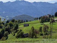 Pokljuka from Jereka