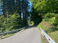 Pokljuka depuis Jereka