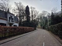 Hanenberg über Jan Dommer van Poldersveldtweg