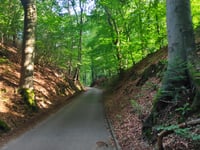Hanenberg über Jan Dommer van Poldersveldtweg