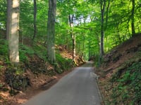 Hanenberg über Jan Dommer van Poldersveldtweg