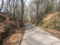 Hanenberg über Jan Dommer van Poldersveldtweg