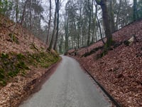 Hanenberg über Jan Dommer van Poldersveldtweg