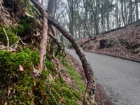 Hanenberg über Jan Dommer van Poldersveldtweg