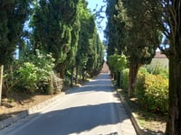 Viale Polenta über Via Polenta Nuova