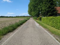 Pollsche Heide von Brünen