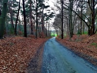 Pollsche Heide von Van-de-Wall-Strasse