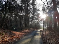 Pollsche Heide von Van-de-Wall-Strasse