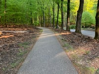Pomphulweg von Assel