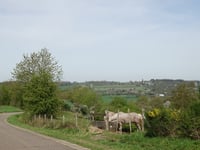 Pont de Polleur von Polleur