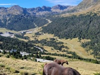 Port d'Envalira from Andorra la Vella