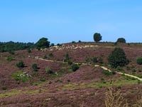 Posbank