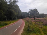 Posbank