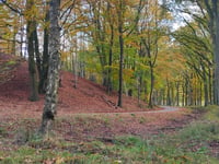 Posbank