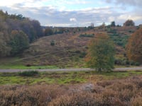 Posbank