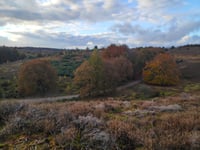 Posbank