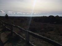 Posbank