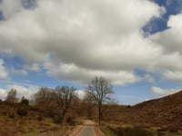 Posbank
