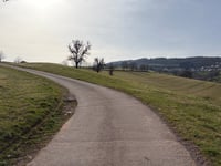 Potzberg über Gelleweg
