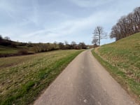 Potzberg über Gelleweg