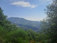 Pourcharesse von Pied de Boeuf