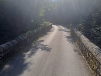 Pourcharesse von Pied de Boeuf